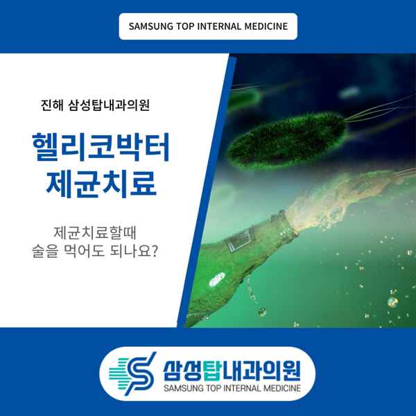 진해 헬리코박터 제균치료 – 제균치료시 술을 먹어도 되나요?