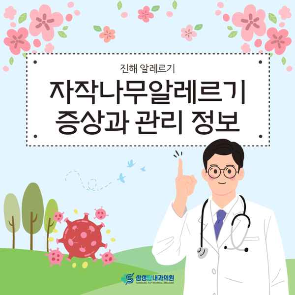 진해 알레르기 안내 봄철 자작나무알레르기 증상과 관리 정보