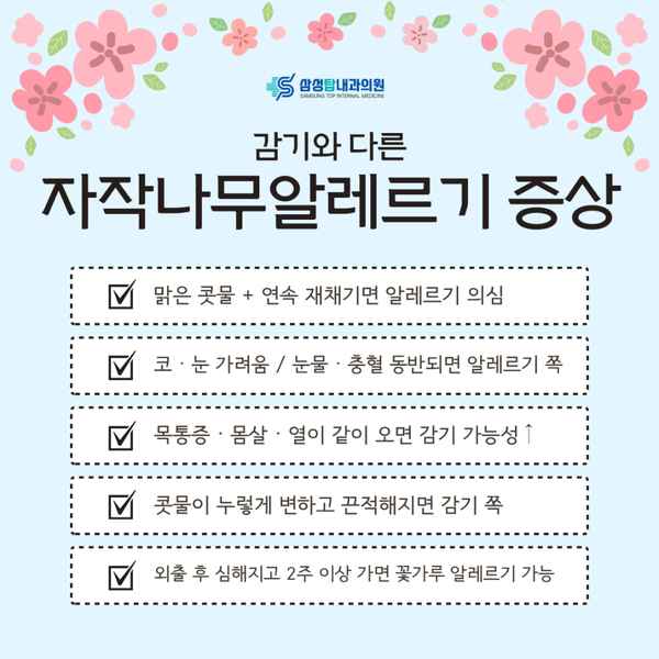 자작나무알레르기 증상 진해 알레르기 상담