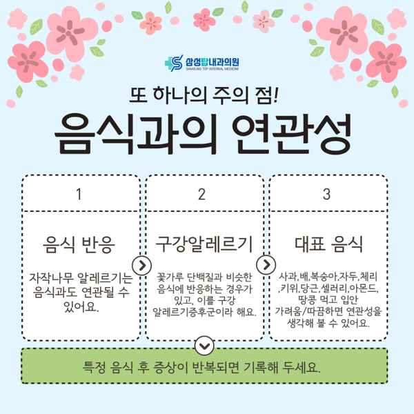 자작나무알레르기와 감기 증상 구분법